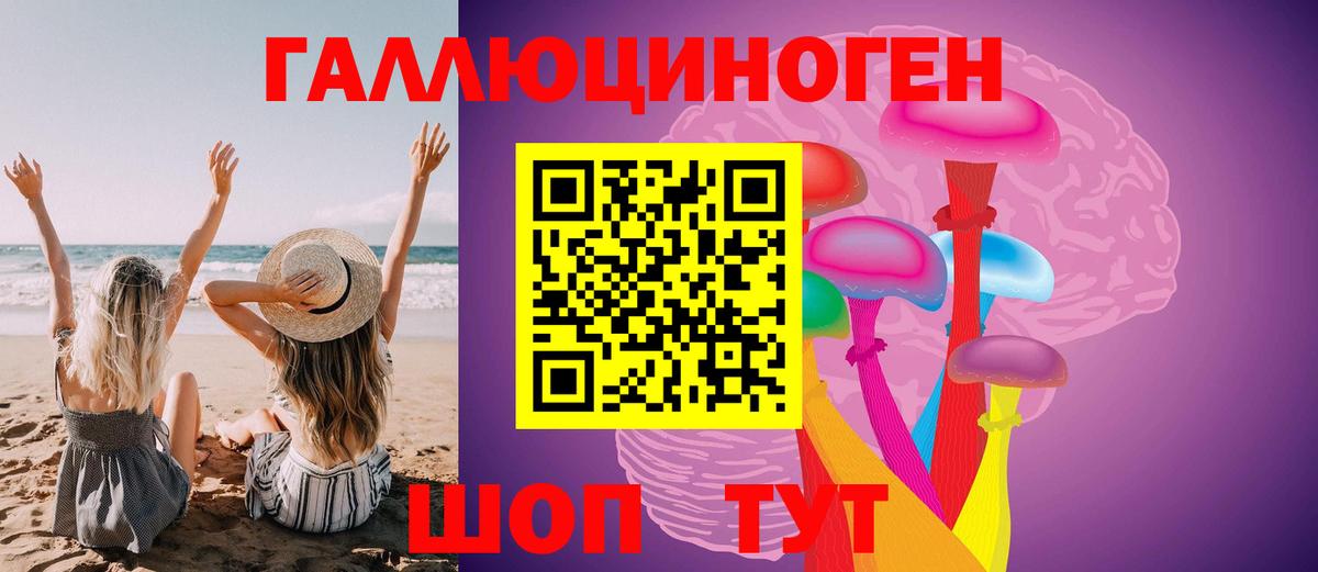 Ярославль  Галлюциногенные грибы прущие грибы  Вход с VPN 
